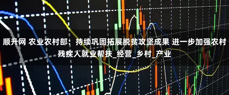 顺升网 农业农村部：持续巩固拓展脱贫攻坚成果 进一步加强农村残疾人就业帮扶_经营_乡村_产业