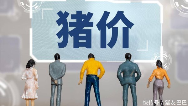 319策略 需求承压、供应增多，猪价“磨底”待涨！附：9月6日猪价