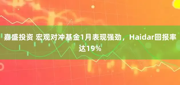 嘉盛投资 宏观对冲基金1月表现强劲，Haidar回报率达19%